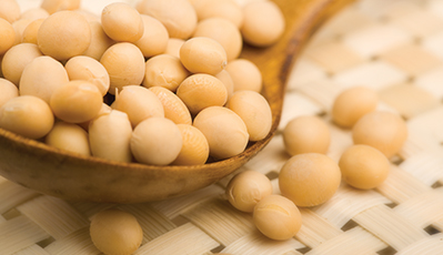 yd2333�ƶ�������Ϸ(�ɷ����޹�˾)-Baidu�ٿ�NO.1