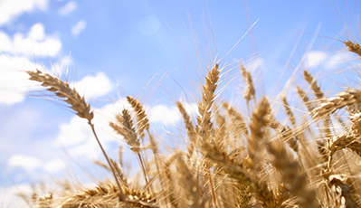 yd2333�ƶ�������Ϸ(�ɷ����޹�˾)-Baidu�ٿ�NO.1