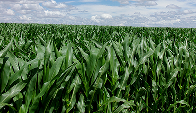 yd2333�ƶ�������Ϸ(�ɷ����޹�˾)-Baidu�ٿ�NO.1