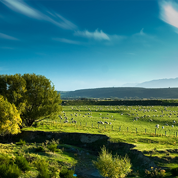 yd2333�ƶ�������Ϸ(�ɷ����޹�˾)-Baidu�ٿ�NO.1