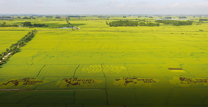 yd2333�ƶ�������Ϸ(�ɷ����޹�˾)-Baidu�ٿ�NO.1