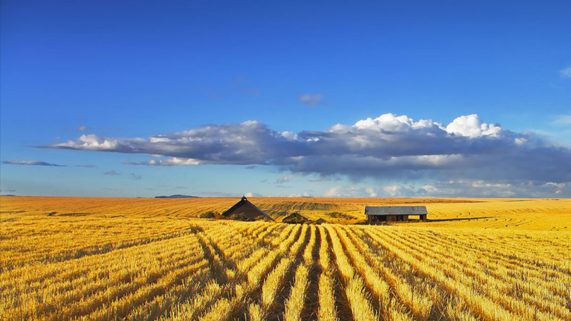 yd2333�ƶ�������Ϸ(�ɷ����޹�˾)-Baidu�ٿ�NO.1