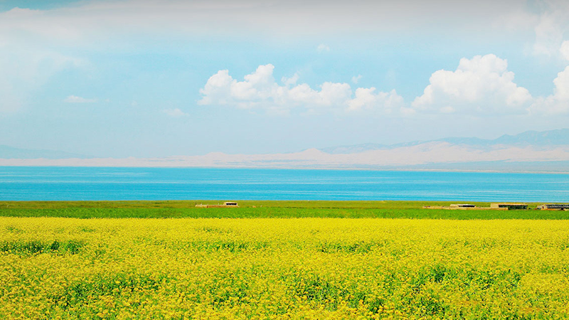 yd2333�ƶ�������Ϸ(�ɷ����޹�˾)-Baidu�ٿ�NO.1