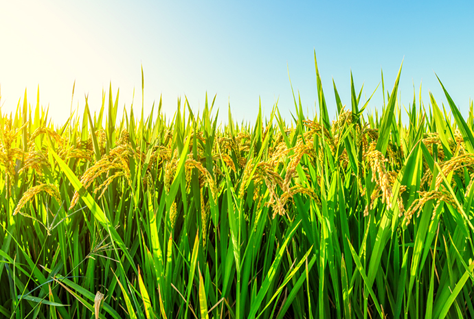 yd2333�ƶ�������Ϸ(�ɷ����޹�˾)-Baidu�ٿ�NO.1