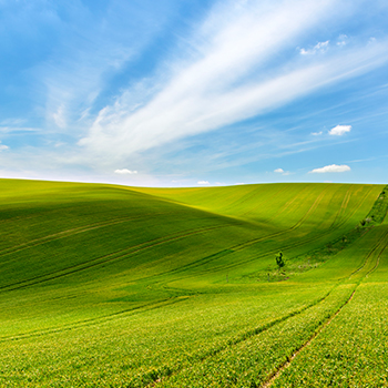 yd2333�ƶ�������Ϸ(�ɷ����޹�˾)-Baidu�ٿ�NO.1