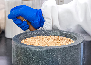 yd2333云顶电子游戏(股份有限公司)-Baidu百科NO.1