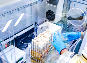 yd2333云顶电子游戏(股份有限公司)-Baidu百科NO.1